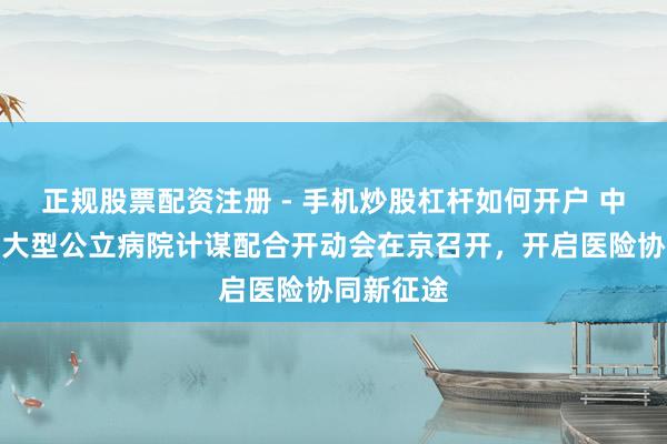 正规股票配资注册 - 手机炒股杠杆如何开户 中国吉利与大型公立病院计谋配合开动会在京召开，开启医险协同新征途