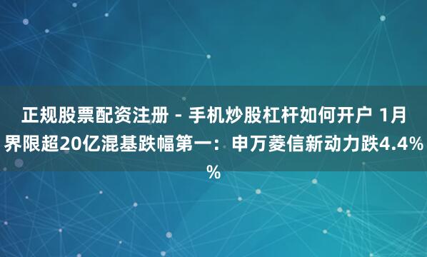 正规股票配资注册 - 手机炒股杠杆如何开户 1月界限超20亿混基跌幅第一：申万菱信新动力跌4.4%
