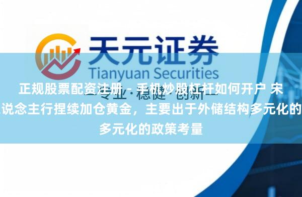 正规股票配资注册 - 手机炒股杠杆如何开户 宋清辉:东说念主行捏续加仓黄金,主要出于外储结构多元化的政策考量