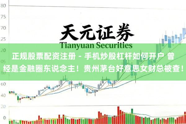 正规股票配资注册 - 手机炒股杠杆如何开户 曾经是金融圈东说念主！贵州茅台好意思女财总被查！