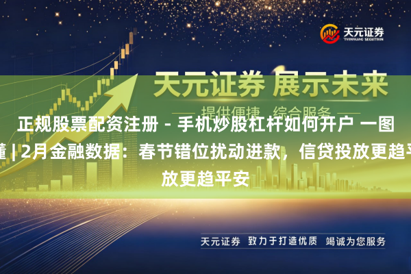 正规股票配资注册 - 手机炒股杠杆如何开户 一图看懂 | 2月金融数据：春节错位扰动进款，信贷投放更趋平安