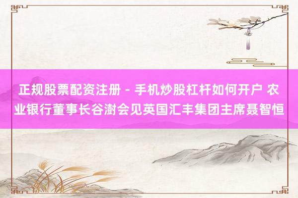 正规股票配资注册 - 手机炒股杠杆如何开户 农业银行董事长谷澍会见英国汇丰集团主席聂智恒